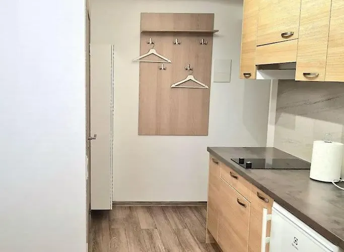 A Touch Of Olive Riga